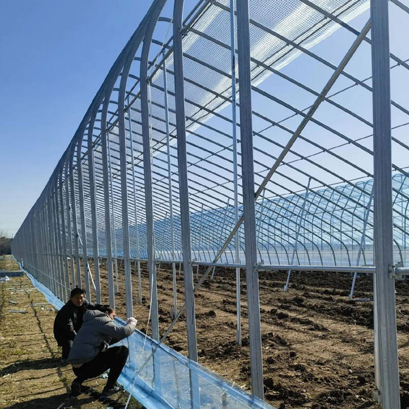 橢圓管大棚